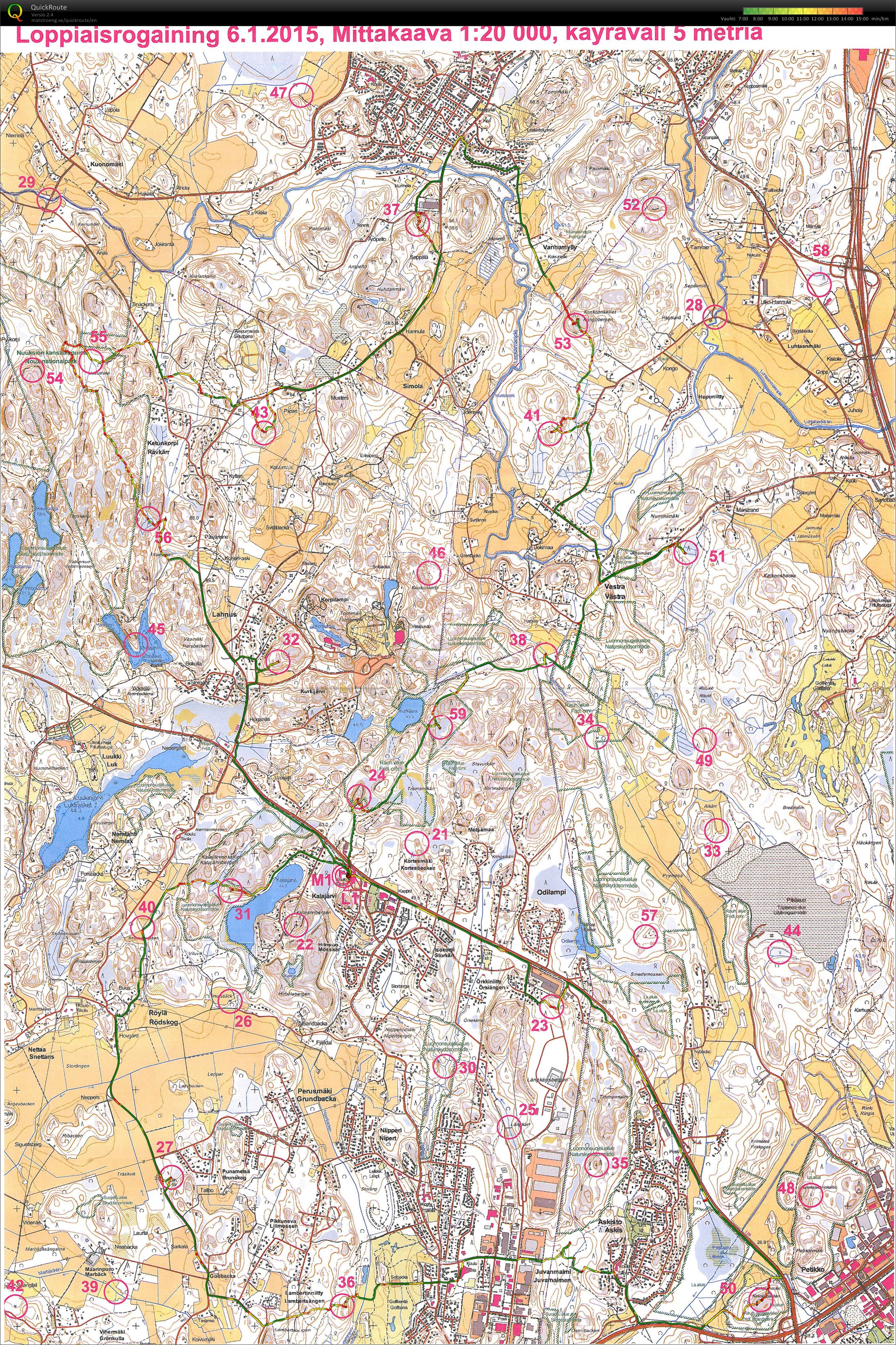 Loppiaisrogaining (06.01.2015)