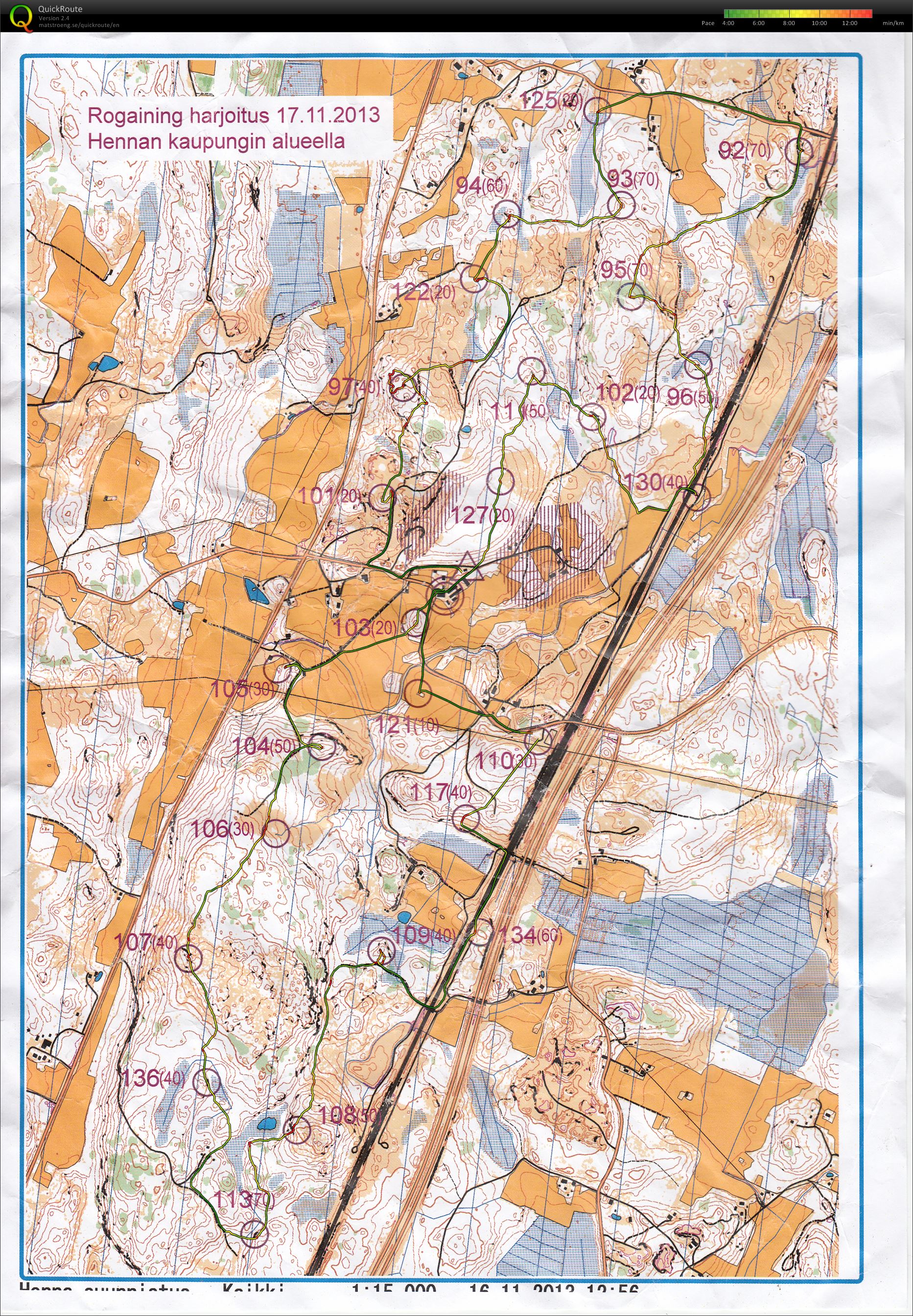 Henna roga (17/11/2013)